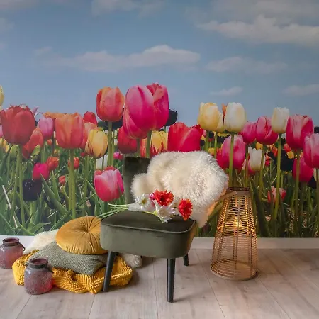 Bed & Breakfast Bakker Meijer